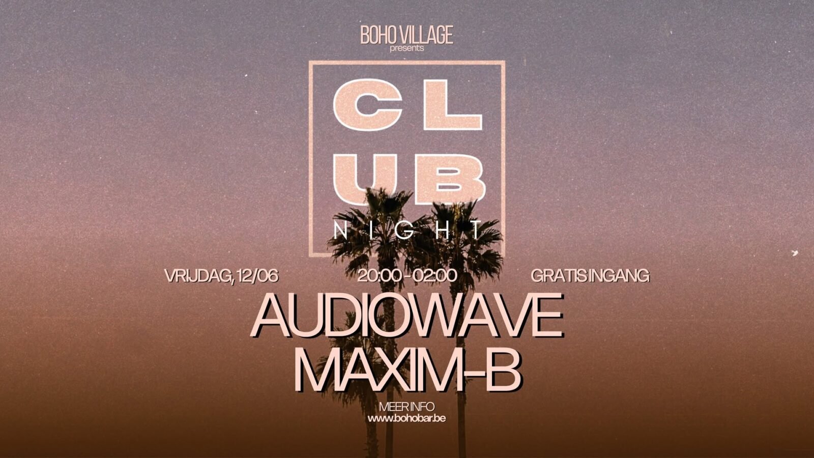 Club Night w/ Audiowave & Maxim B